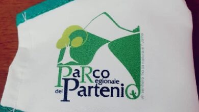 Photo of Parco del Partenio: Una legge regionale per promuovere ‘il gioiello irpino’, ma anche monitoraggio del territorio contro gli abusi e sviluppo eco-sostenibile