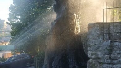 Photo of Solofra: Appiccato il fuoco al tiglio secolare a guardia della chiesa della Madonna del Soccorso
