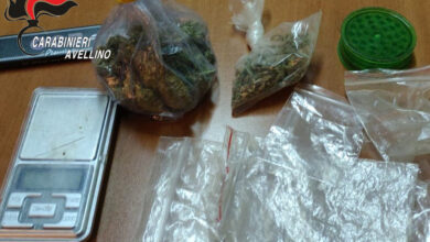 Photo of Denunciati 4 giovani per possesso di marijuana