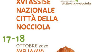 Photo of Ad Avella la XVI Assise Nazionale Città della Nocciola
