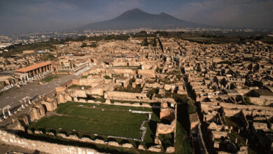 Photo of POMPEI: L’ARTE E LA BELLEZZA ON LINE PER LE FESTIVITA’