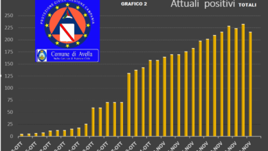 Photo of AVELLA. Covid-19, Protezione Civile: “Il 90% dei positivi sono stati contagiati in casa”
