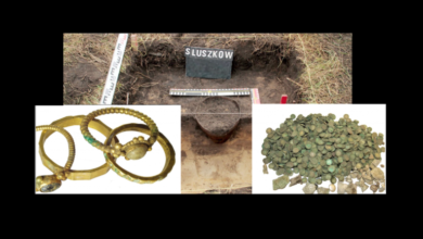 Photo of Polonia: Archeologo e prete trovano con metal-detector, in un campo, tesoro di 900 anni fa