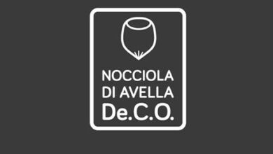 Photo of La Nocciola di Avella ottiene il marchio di garanzia
