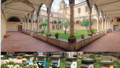 Photo of Le api nel giardino del Convento francescano di Avella per coniugare produzione e tutela della biodiversità