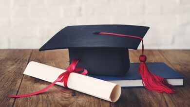 Photo of AVELLA: LAUREA ALAIA E SEPE