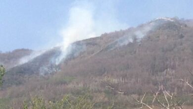 Photo of Avella: In fumo Il Parco del Partenio, in azione l’antincendio