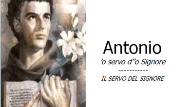 Photo of Nola: Si presenta il libro ‘O Servo d’ ‘O Signore” di Nino Cesarano