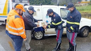 Photo of “Barbagianni” tratto in salvo dagli agenti di Polizia