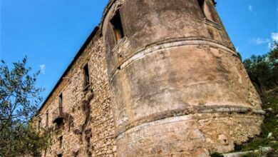 Photo of Campania Svelata: Svelato il re Mida dell’oro bianco del Partenio…