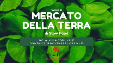 Photo of Mercato della Terra: Appuntamento con la spesa locale e sostenibile in villa comunale a Nola