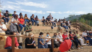 Photo of Palma Campania: Convegno “Alberi e piante. Tra mito, storia e archeologia”