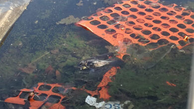 Photo of Marigliano / Mariglianella: SOS continua emergenza Agrimonda