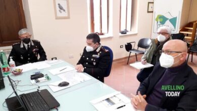 Photo of Parco del Partenio e Carabinieri Forestali dichiarano guerra allo sversamento abusivo dei rifiuti