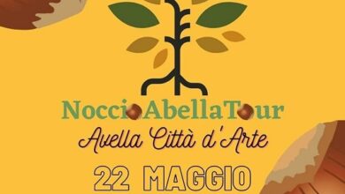 Photo of Ad Avella domenica 22 Maggio si celebra il “Nocciola Day”