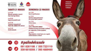 Photo of Palio del Casale/XVII Edizione: Domenica 22 maggio la gara… in trasferta a Cicciano