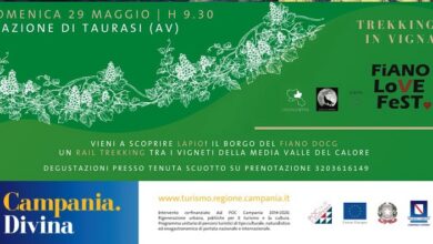 Photo of Trekking in Vigna a Lapio: appuntamento da non perdere con Fiano Love Fest