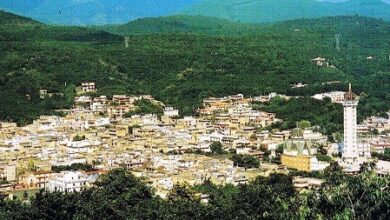 Photo of Visciano: Annuncio funebre contro un giovane candidato