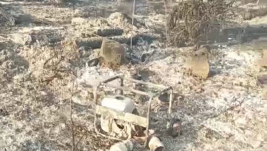 Photo of Brusciano: Un incendio distrugge il Parco della Vita