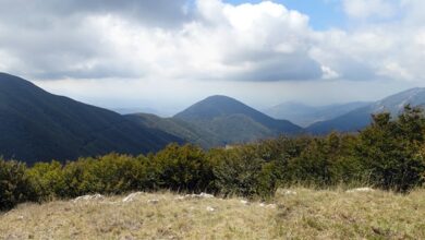 Photo of Campo Maggiore: continua l’immobilismo delle istituzioni