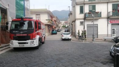 Photo of Avella: Un nido di calabroni “Impedisce” i lavori di restauro alla Chiesa di San Giovanni