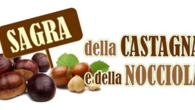 Photo of Torna la Sagra della Castagna e della Nocciola ad Avella