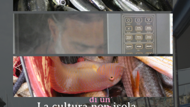 Photo of “La cultura di un’isola”: Il docufilm sulla pesca a Procida, promosso da Fondazione Campania dei Festival