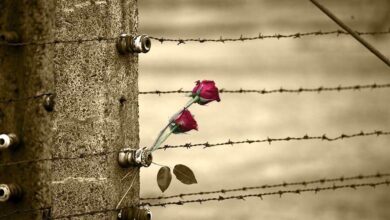 Photo of Baiano: Il ricordo della Shoah, all’Incontro