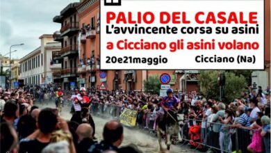 Photo of Cicciano: Pronta l’edizione 2023 del Palio del Casale