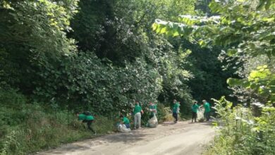 Photo of Mugnano del Cardinale: Proficua la Giornata Ecologica organizzata dalla proloco “Rimettiamoci Insieme”