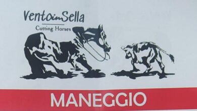 Photo of Avella: Serata evento al maneggio “Vento in sella”