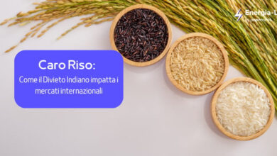 Photo of Caro Riso: Come il Divieto Indiano impatta i mercati internazionali