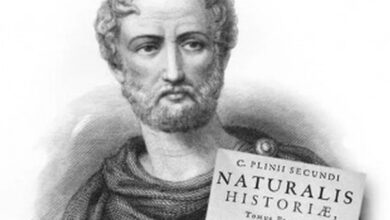 Photo of Nel Bimillenario di Plinio il Vecchio, al via le celebrazioni del “primo soccorritore di stato”