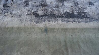 Photo of Roberto Ghezzi alla Galleria Nazionale d’Arte Moderna e Contemporanea di Roma
