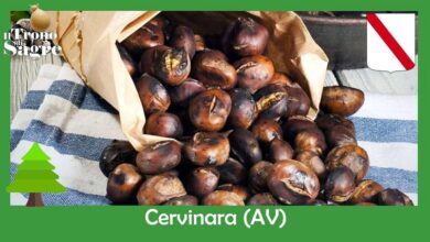 Photo of Cervinara: Sagra della Castagna del Partenio