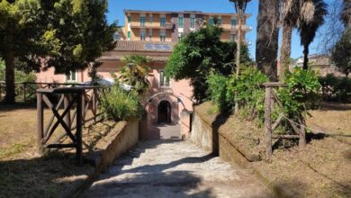 Photo of Avellino Letteraria: Si presenta il romanzo di Diamante Faggiano: “In un limbo d’amore”