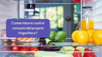 Photo of Frigoriferi ed Efficienza Energetica: Spendi Meno, Conserva Meglio