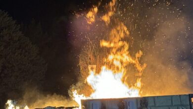 Photo of Quindici (Av): La Festa di Sant’Antonio Abate tra Fede, Folklore e Resilienza