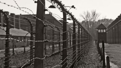 Photo of Avellino: Celebrazione del Giorno della Memoria