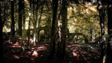 Photo of In Tour per il Parco del Partenio: Sant’Angelo a Scala