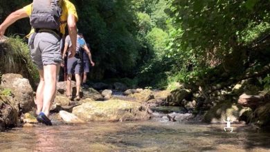 Photo of Proposte per chi ama “camminare”: La via delle acque in Irpinia