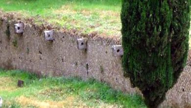 Photo of POMPEI E IL MISTERO DELLE PIETRE DI ORMEGGIO: SVELIAMO UN ENIGMA MILLENARIO!