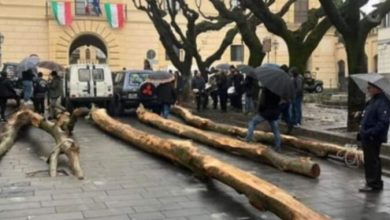 Photo of Sirignano e la Festa del “Maio”: un antico rito arboreo che unisce fede e tradizione