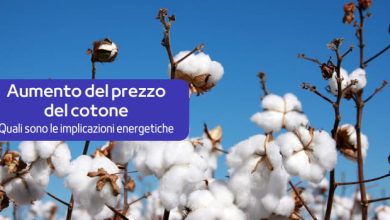 Photo of Cotone alle stelle: le implicazioni nel settore energetico