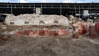 Photo of Pompei / Regio IX: Continuano le attività di scavo nei cantieri anche durante le festività natalizie