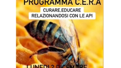 Photo of Lauro: Presentato il Progetto C.E.R.A., un inno all’Ecosistema e all’Inclusività