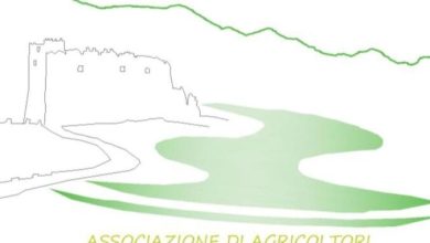 Photo of Gli agricoltori del Baianese-Alto Clanio hanno acquisito un risultato storico