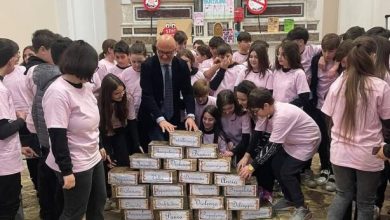 Photo of Roccarainola/I.C.S. “San Giovanni”: Presentato il libro “Il ragazzo dai pantaloni rosa”