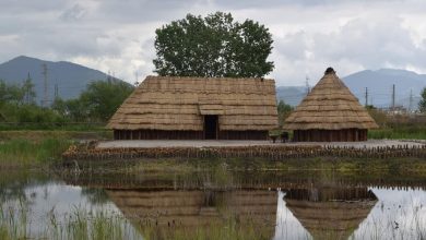Photo of Parco Archeologico e Naturalistico di Longola di Poggiomarino: Dallo scavo alla ricostruzione…