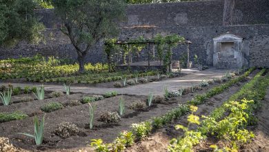 Photo of Pompei ieri e oggi: Rinasce la Casa del “Giardino di Ercole”